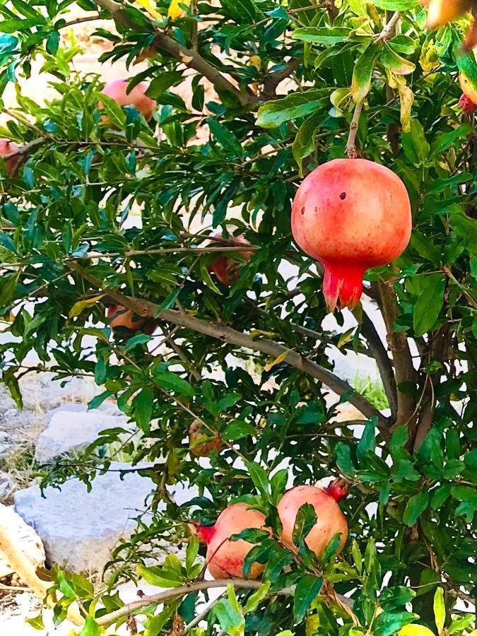 Al Tempio Della Pace Otel Carini Dış mekan fotoğraf